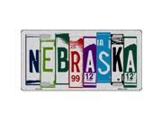 Smart Blonde LPC 1041 Nebraska License Plate Art Brushed Aluminum Metal Novelty License Plate
