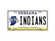 Smart Blonde LP 6374 Indians Indiana Novelty Metal License Plate