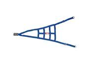 RJS Racing Equipment 10 0015 03 00 Ribbon Roll Cage Net 2 Point Non SFI Blue
