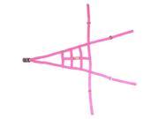 RJS Racing Equipment 10 0014 10 00 Ribbon Roll Cage Net 4 Point Non SFI Hot Pink
