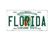 Smart Blonde LP 6005 Florida Novelty Metal License Plate