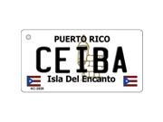 Smart Blonde KC 2828 Ceiba Puerto Rico Flag Novelty Key Chain