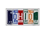 Smart Blonde LPC 1049 Ohio License Plate Art Brushed Aluminum Metal Novelty License Plate