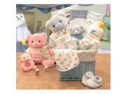 Gift Basket Drop Shipping 890172 P Sweet Baby of Mine New Baby Basket Pink