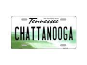 Smart Blonde LP 6418 Chattanooga Tennessee Novelty Metal License Plate