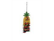 Caitec 458 Extra Large Pineapple 6 in. x 16 in.