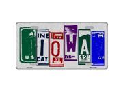 Smart Blonde LPC 1029 Iowa License Plate Art Brushed Aluminum Metal Novelty License Plate