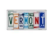 Smart Blonde LPC 1059 Vermont License Plate Art Brushed Aluminum Metal Novelty License Plate