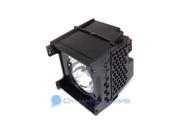 Dynamic Lamps Y66 LMP Economy Lamp With Housing for Toshiba TV