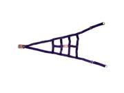RJS Racing Equipment 10 0015 08 00 Ribbon Roll Cage Net 2 Point Non SFI Purple