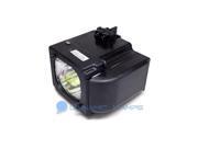 Dynamic Lamps BP96 01653A Economy Lamp With Housing for Samsung TV