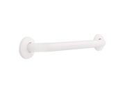 Franklin Brass 5724BS 24 x 1.25 in. Concealed Screw Grab Bar Bright Stainless Steel 1 Pack