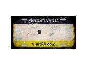 Smart Blonde LP 8155 Pennsylvania State Background Rusty Novelty Metal License Plate