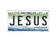 Smart Blonde LP 6125 Jesus Michigan Metal Novelty License Plate