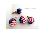 SmallAutoParts American Flag License Plate Frame Fasteners Bolts Set Of 4