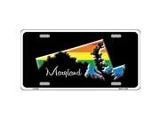 Smart Blonde LP 6334 Maryland Rainbow Metal Novelty License Plate