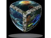 Sea World V Cube 2b