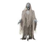 Costumes For All Occasions MR124198 Evil Entity Animated Prop