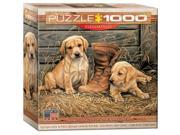 EuroGraphics 8000 0795 Something Old Puzzle 1000 Pieces