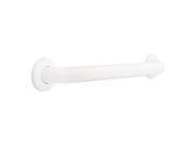 Franklin Brass 5624BS 24 x 1.5 in. Concealed Screw Grab Bar Bright Stainless Steel 1 Pack