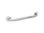 Liberty Hardware DF5624PSBS Stainless Steel Heavy Duty Safety Grab Bar 24 in.
