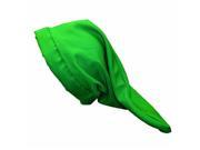 Alexanders Costumes 19 105 GR Dwarf Hat Green