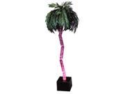 Midwest Tropical AP 7 AquaPalm Palm Tree 2 gal. Style
