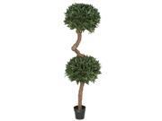 Autograph Foliages W 130200 6 ft. French Laurel Tree Green