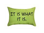 Manual Woodworkers and Weavers SWIWIS It Is What It Is Printed Pillow Brightly Colored 12.5 X 8.5 in.