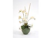 Distinctive Designs International 7533 White Phaleonopsis Orchids Arrorog Rattan in Blue Cream Ceramic Vase