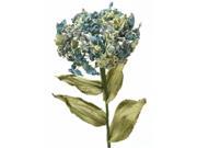 Distinctive Designs DW 1575B DIY Flower 28.5 in. L Turquoise Green Hydrangea x 1 Pack of 12