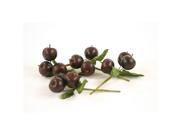Distinctive Designs F 762 Fruit Juicy Plum Picks Each with 3 Plums and Leaves Pack of 12