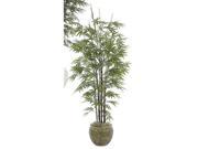 Autograph Foliages P 3762 7 Foot Japanese Bamboo Tree Black Stem