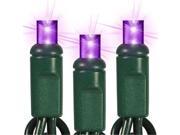 Queens of Christmas S 100MMPU 4GT4 S 100MMPU 4GT4 Purple LED 5MM Conical Twinkle Light Set