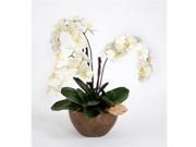 Distinctive Designs 7508 Silk Cream White Orchid Plant with Bark and Mushrooms in Bronze Bowl