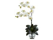 Nearly Natural 1323 CR Double Phal Orchid with Vase Arrangement