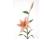 Distinctive Designs DW 958 SOCD DIY Flower Sonia Celadon Oriental Hybrid Lily With Blooms Pack of 12