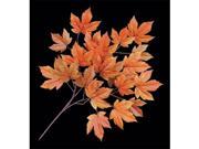 Autograph Foliages PR 8982 29 in. Fr Sycamore Branch