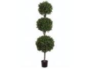 LPB276 GR TT 6 ft. Tri Ball Boxwood Top Two Tone Green Case of 1
