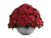 Nearly Natural 1345 Giant Poinsettia Arrangement With Decorative Planter