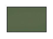 Learning Carpets CPR 559 Solid Military Green Rectangular Rug