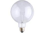 Westinghouse 03102 5 in. 60W Vanity Globe Light Bulb Clear
