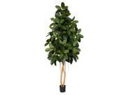 Autograph Foliages W 140120 8 ft. Rubber Tree Tutone Green