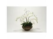Distinctive Designs International 6939 Cream White Orchids Greenery in Brown Planter