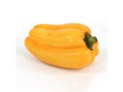 Distinctive Designs DW 1527 Veggies Yellow Bell Peppers Pack of 12