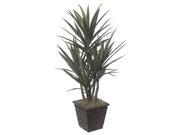 Autograph Foliages PF 61470 50 Inch Plastic Yucca Two Tone Green