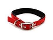 Aspen Pet 18X5 8 Nylon Red Collar 15506