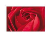Brewster Home Fashions DM680 Limportant Cest La Rose Wall Mural 45 in.