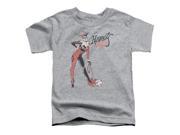Trevco Dc Harley Hammer Short Sleeve Toddler Tee Athletic Heather Large 4T