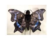 Sunny Toys NP8243 14 In. Butterfly Morning Cloak Animal Puppet